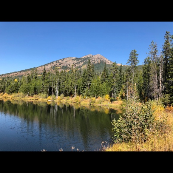 Meet your Posher, Ricky - Picture 4 of 8